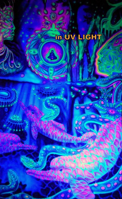 UV Backdrop Airbrush Paint Dolphins uv Active 
