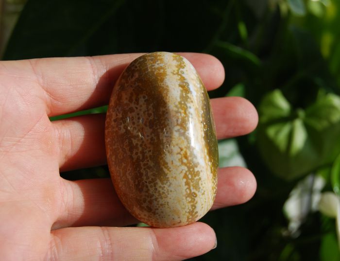 Orbicular Ocean Jasper Palm Stone from Madagascar, 78 Grams Polished