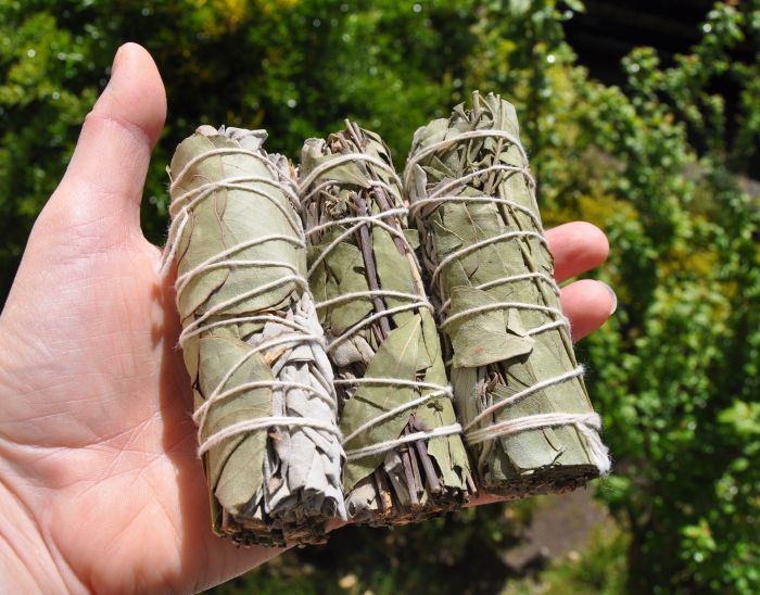 Eucalyptus and White Sage Smudge Smudging Stick Bundle  10 CM - 4"