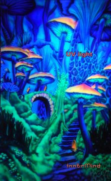 UV Tapestry Wall hanging Mushroom Jedi Scenery AIRBRUSH 
