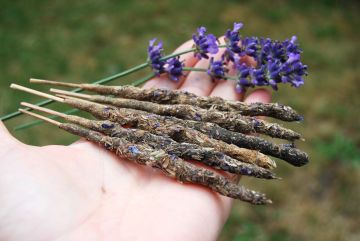 Lavender and Patchouli Incense, Homemade Artisan Incense, All Natural Hand rolled Incense Sticks, Meditation and Relaxation