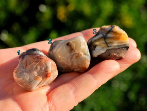 Crazy Lace AGATE Tumbled Stones - 24 gram - 0.85 Oz  Crystals